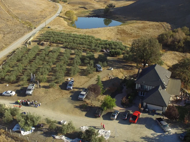 Orchard Overshot
